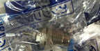 CJPB10-10H6 CJPB1010H6 1PC New SMC cylinder free shipping