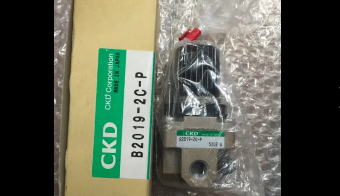 1PC NEW CKD B2019-2C-P free shipping