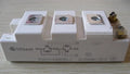 BSM100GB60DLC 1PC NEW Infineon Eupec IGBT free shipping