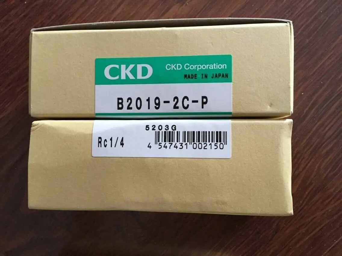 1PC NEW CKD B2019-2C-P free shipping