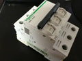 NEW IN BOX Schneider C65N 3P D40