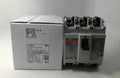 BW63EAG 3P 63A New in box Fuji Circuit breaker free shipping