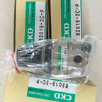 1PC NEW CKD B2019-2C-P free shipping