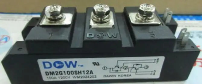 NEW 1PCS MODULE DM2G100SH12A DM2G100SH12A