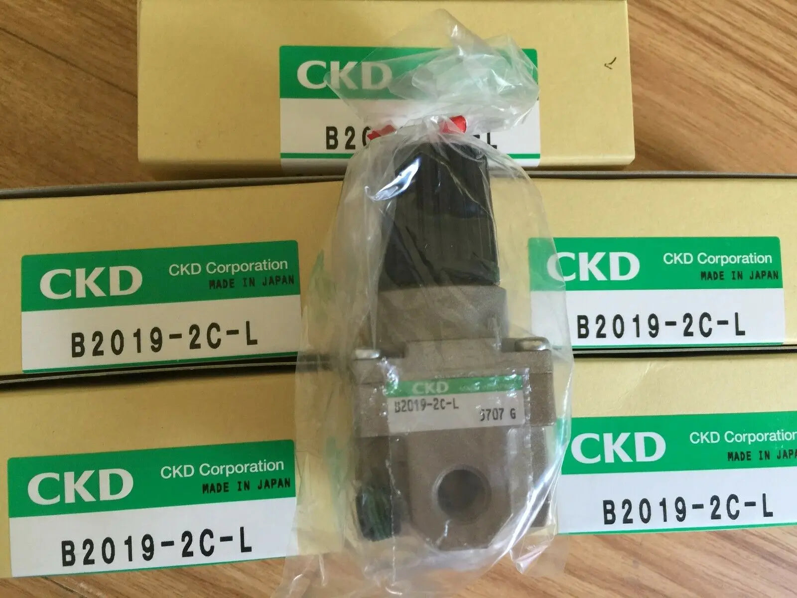 1PC NEW CKD B2019-2C-L free shipping