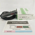1pc new RIKO BR301-P